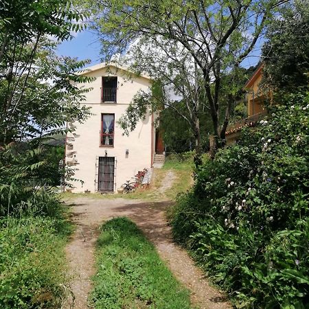 Ferula Romantica Mansarda Tra Fiumi E Montagne Sardegna Seùlo Екстериор снимка