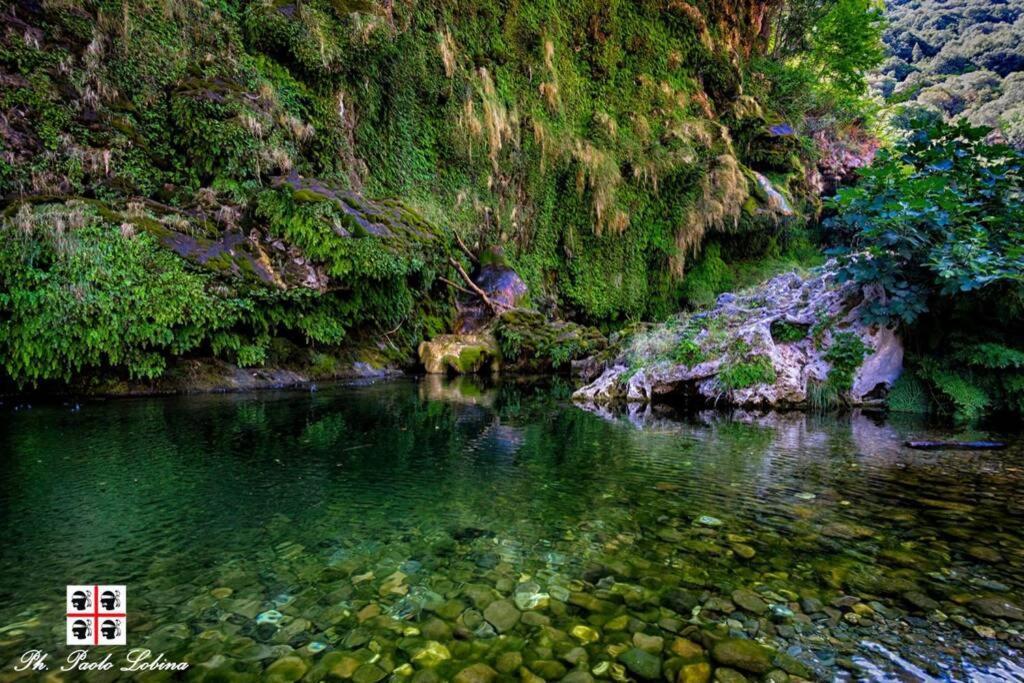 Ferula Romantica Mansarda Tra Fiumi E Montagne Sardegna Seùlo Екстериор снимка